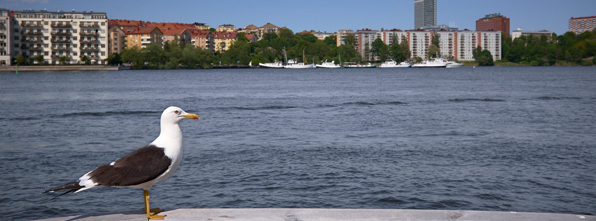 Gröndal. Vy mot Lilla Essingen och Fredhäll.