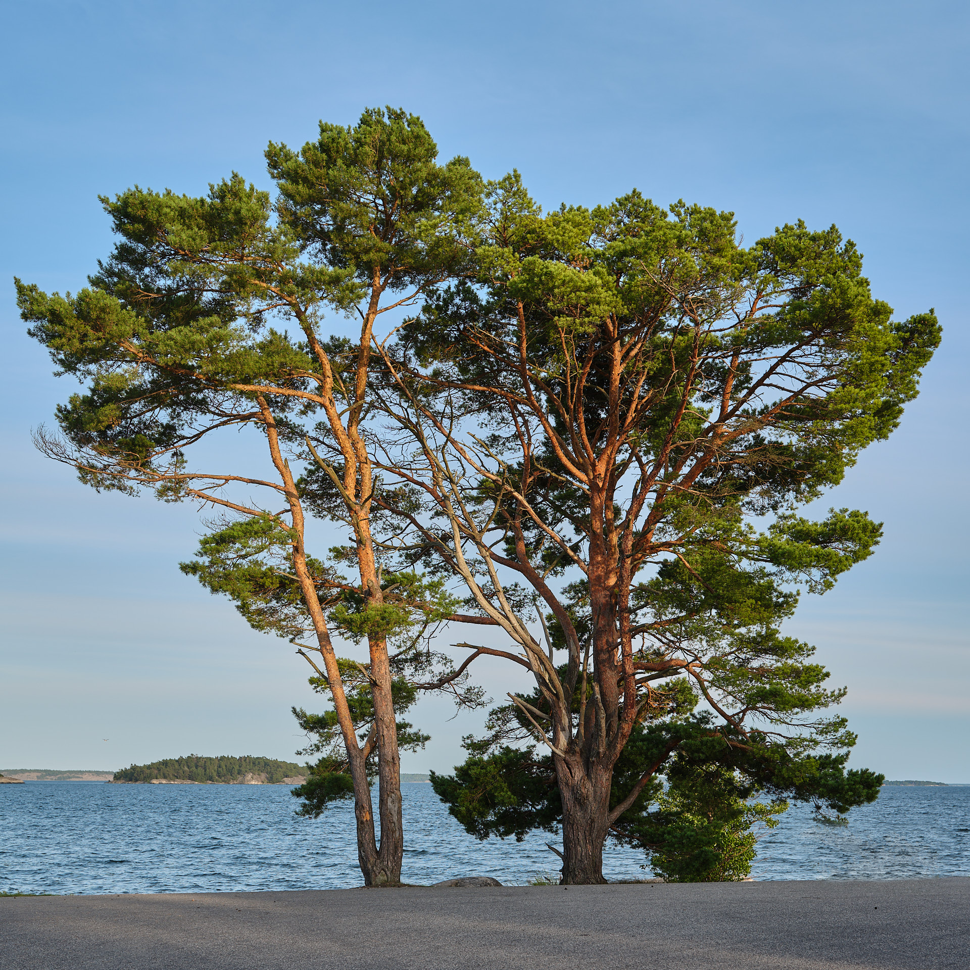 Björkviks brygga, Ingarö.