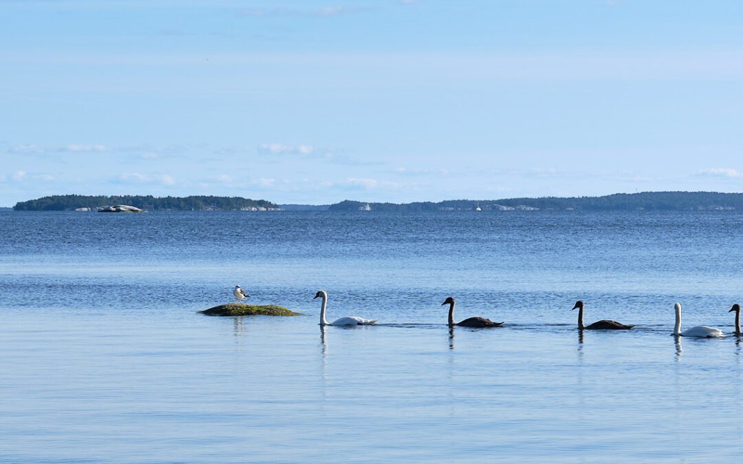 Björnö